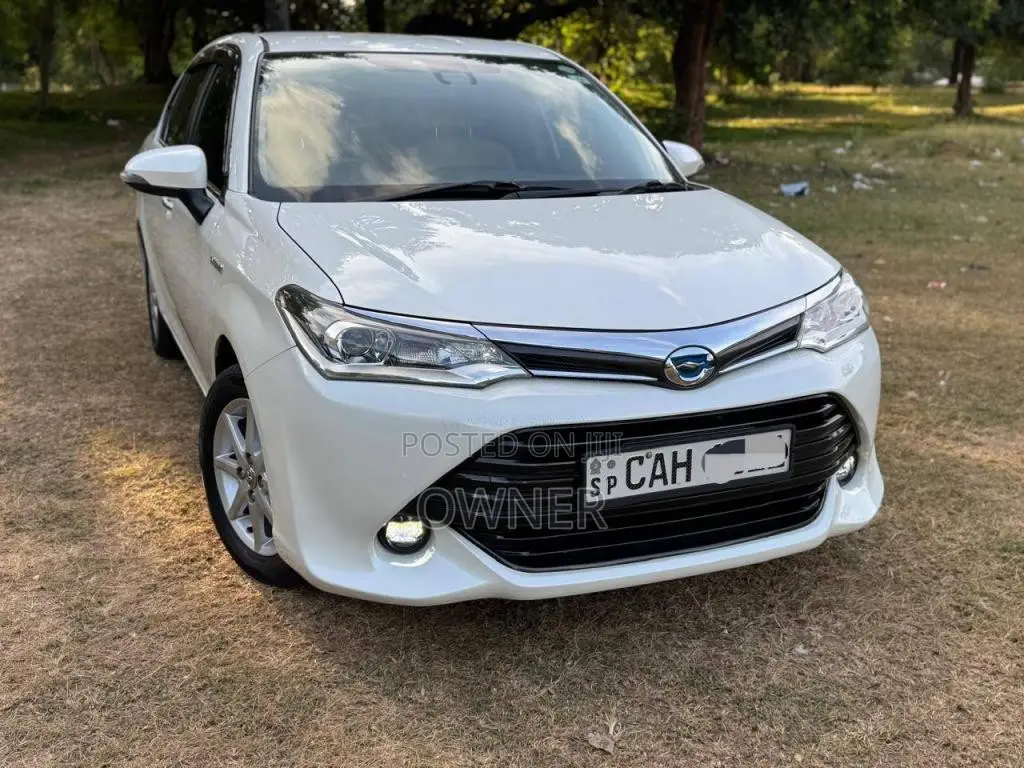 Toyota Axio G Safety 2015 Car (Used)