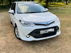 Toyota Axio G Safety 2015 Car (Used)