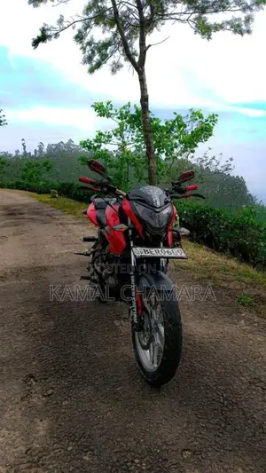 Bajaj Ns150 2016 Motorbike (Used)