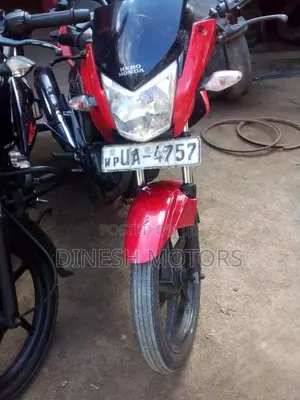 Hero Hunk 2009 Motorbike (Used)