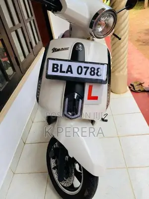 NWOW Wsp 2024 Motorbike (Used)