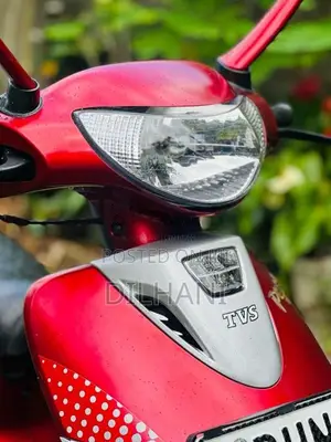 TVS Scooty Pep 2019 Motorbike (Used)