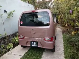 Suzuki Wagon R FX Safety Push Start 2024 Car (Used)