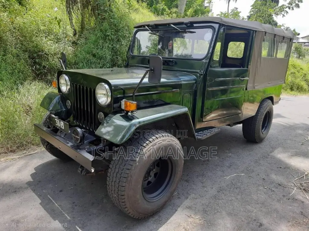 Mitsubishi 4DR5 1980 SUV (Used)