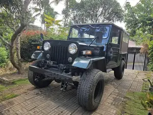 Mitsubishi 4DR5 1980 SUV (Used)