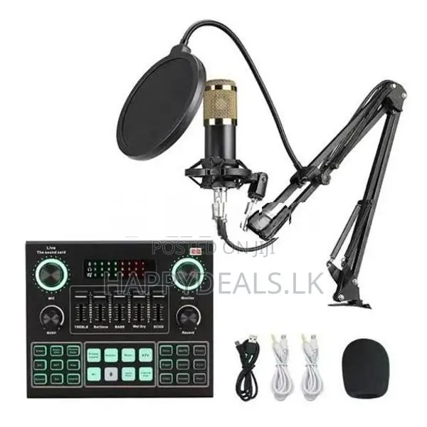V9 Sound Card With Bm800 Mic