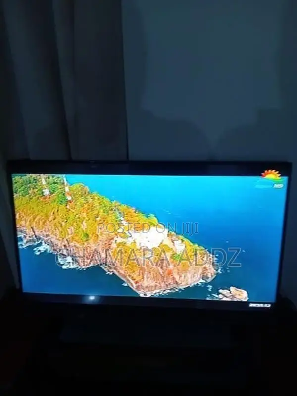 Sony 40 Inch TV