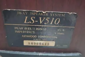 Japan speakers