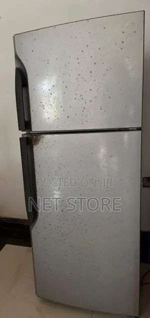 Samsung Fridge