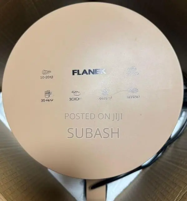 Flanex Air Fryer