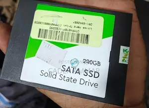 WD Green 256SSD