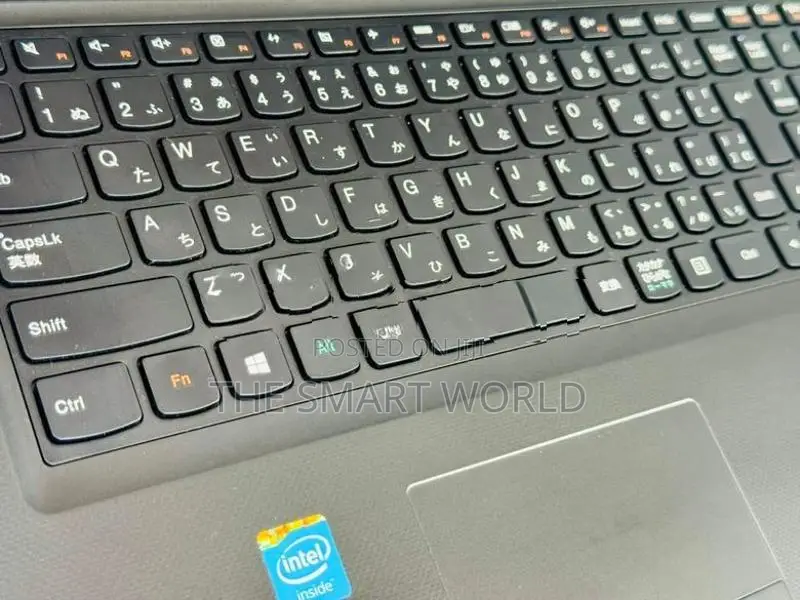 Lenovo ideapad Celeron 4GB RAM 500GB HDD High Professional Laptop