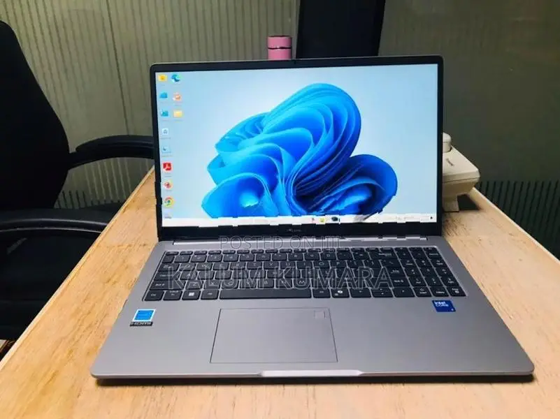 ASUS ExpertBook Laptop