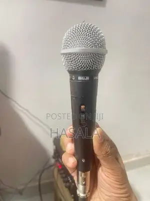 Portable Karaoke Speaker