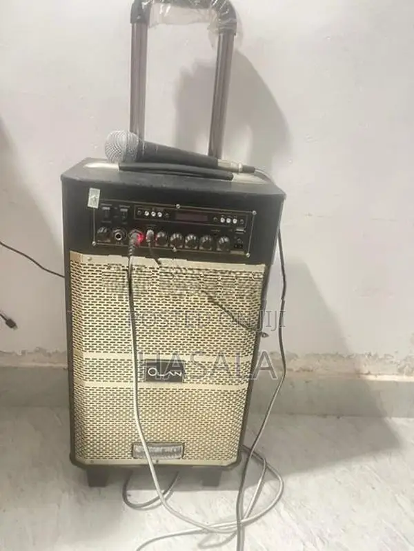 Portable Karaoke Speaker