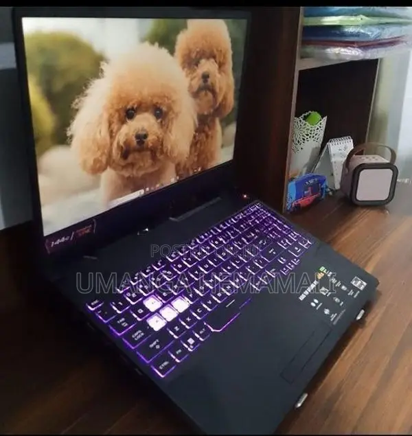 Asus TUF Gaming