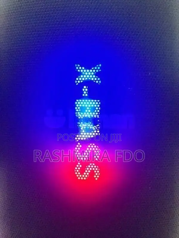 Singer Party Box Speaker