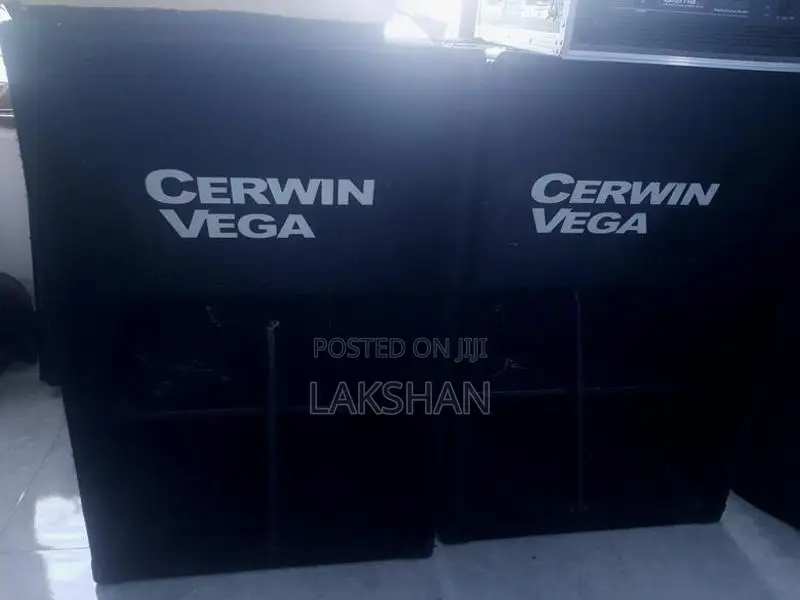 Cerwin Vega Emty spiker box