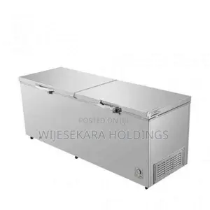Hisense 701L Double Door Chest Freezer