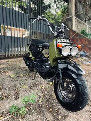 Honda Zoomer 2010 Motorbike Unregistered (Recondition)