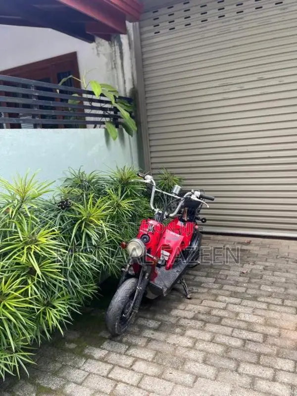 Honda Bite 2018 Motorbike (Used)
