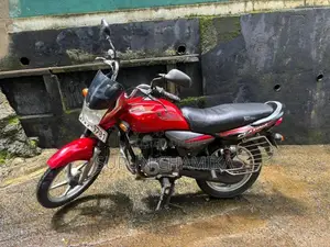Bajaj Platina 2010 Motorbike (Used)