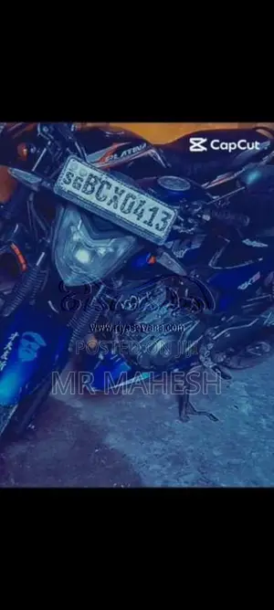 Bajaj Pulsar NS200 2015 Motorbike (Used)