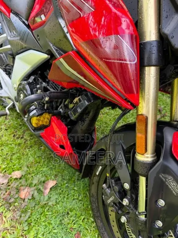Bajaj Pulsar N160 Premium 2025 Motorbike (Used)