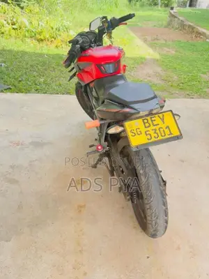 Bajaj Pulsar NS160 2017 Motorbike (Used)