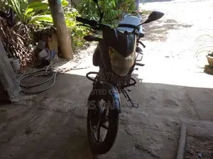 Bajaj Pulsar 2011 motorcycle (Used)
