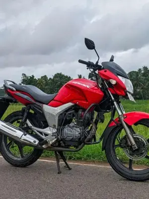 Hero-Honda Hunk 2009 Motorbike (Used)