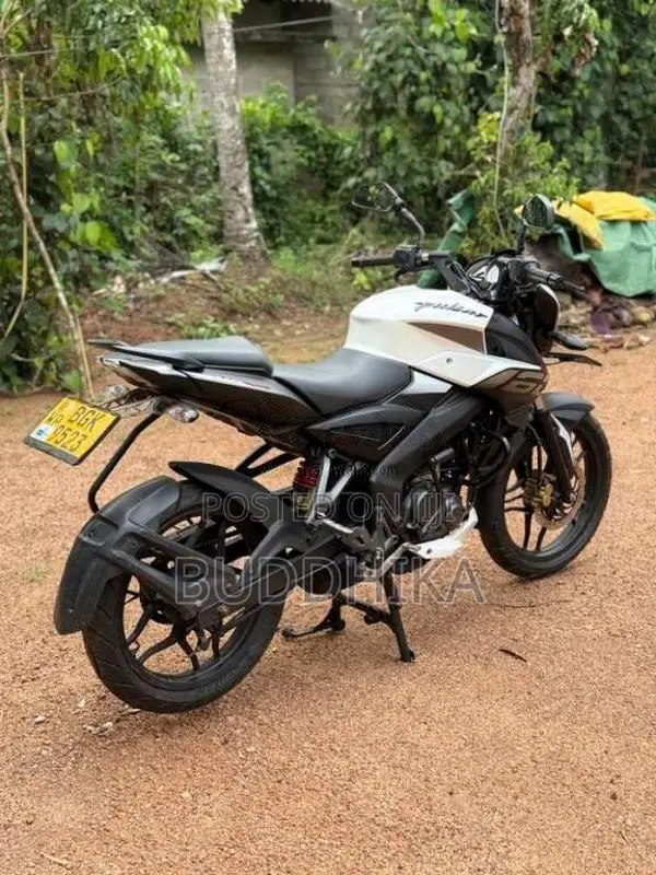 Bajaj Pulsar NS160 2018 Motorbike (Used)
