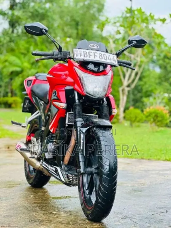 Demak Skyline Dtm Dzm Dxt 2017 Motorbike (Used)