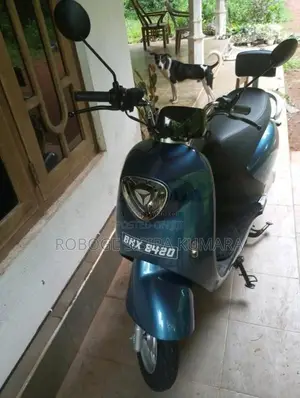 Yadea M.6 2025 Motorbike (Used)