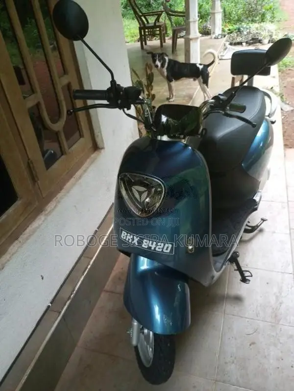 Yadea M.6 2025 Motorbike (Used)