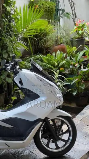 Honda Pcx Angel Light 150cc 2020 Motorbike (Used)