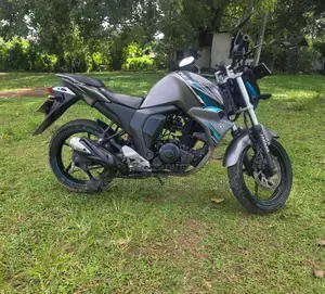 Yamaha FZ-S 2019 Motorbike (Used)