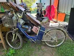 Other Electric Bicycle 2024 Motorbike (Used)