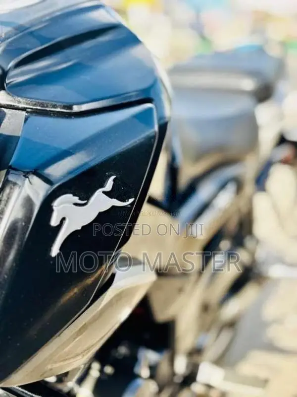 TVS Raider 2024 Motorbike (Used)