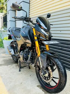 Hero Hunk 160 R 4V 2025 Motorbike (Used)