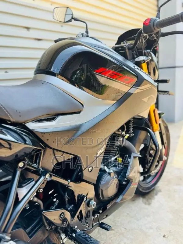 Hero Hunk 160 R 4V 2025 Motorbike (Used)