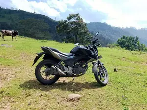 Honda CB Hornet 2017 Motorbike (Used)