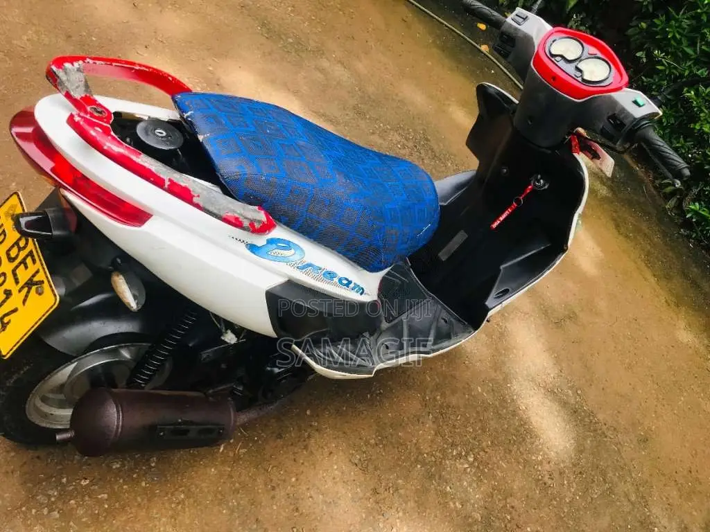 Ranomoto Dream 2016 Motorbike (Used)