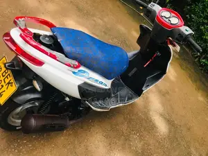 Ranomoto Dream 2016 Motorbike (Used)