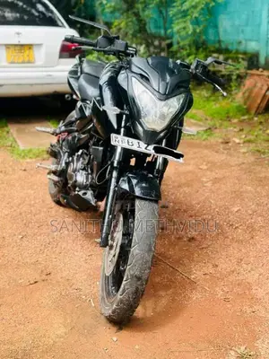 Bajaj NS 160 2019 Motorbike (Used)