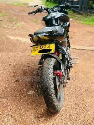 Bajaj NS 160 2019 Motorbike (Used)