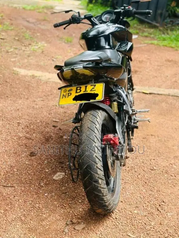 Bajaj NS 160 2019 Motorbike (Used)