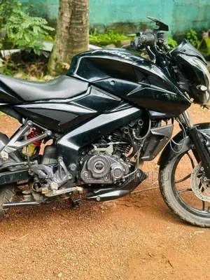 Bajaj NS 160 2019 Motorbike (Used)