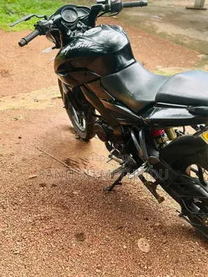 Bajaj NS 160 2019 Motorbike (Used)