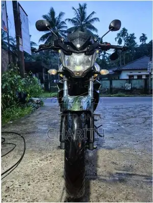 Yamaha FZ-S 2016 motorcycle (Used)